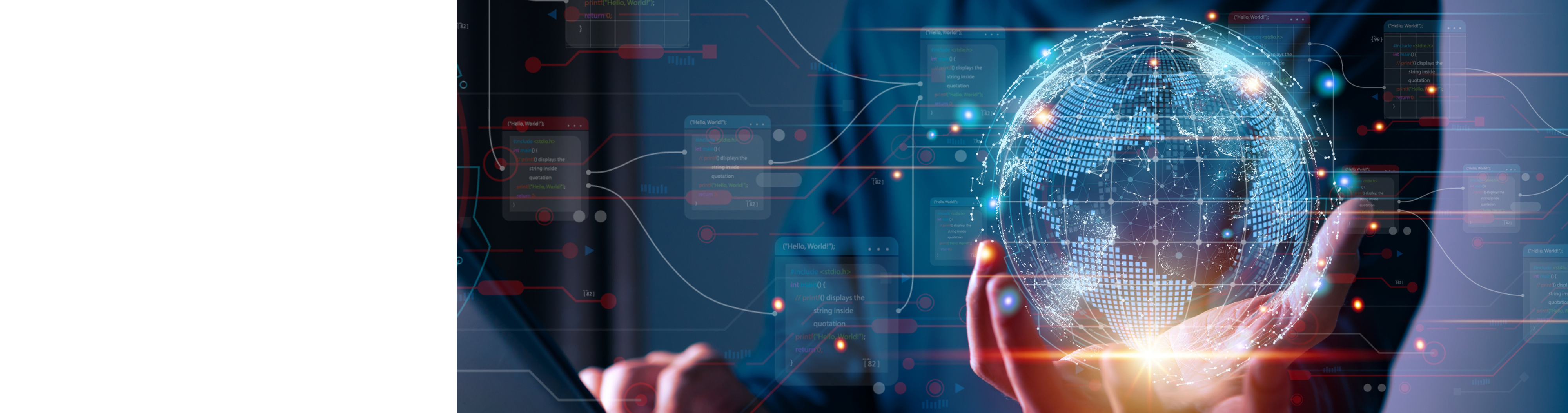 TNS Data Services Roaming Hub