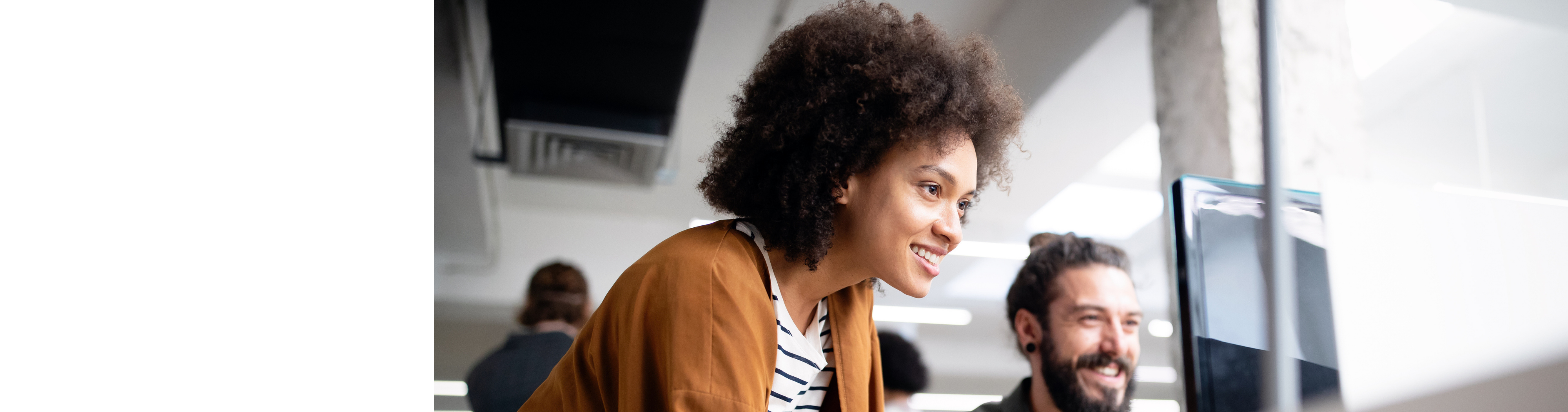 TNS Application Development Environment (ADE)